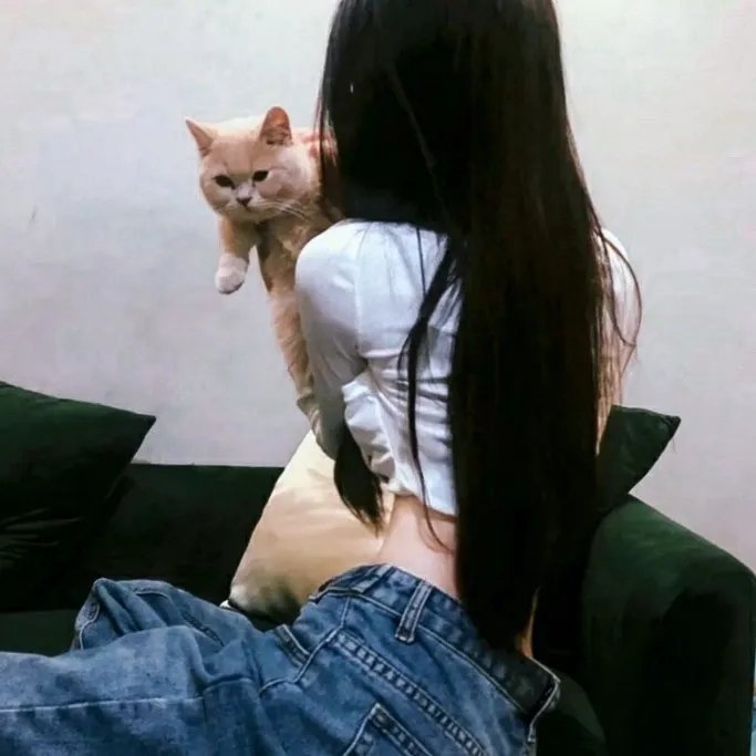 狐狸与猎狗